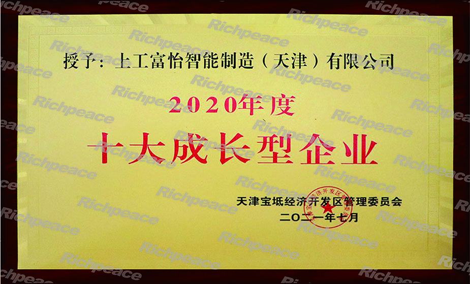 十大成長(zhǎng)型企業(yè)