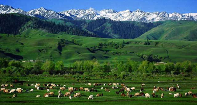 第六屆草原民族服飾與現代時裝定制技術研討會